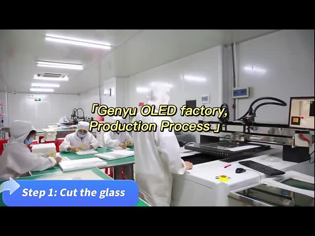 China Shenzhen Genyu Optical Co., Ltd. Company Profile
