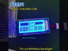 Customization Segment LCD Modules TN 6 Digit LCD Display Blue Backlight